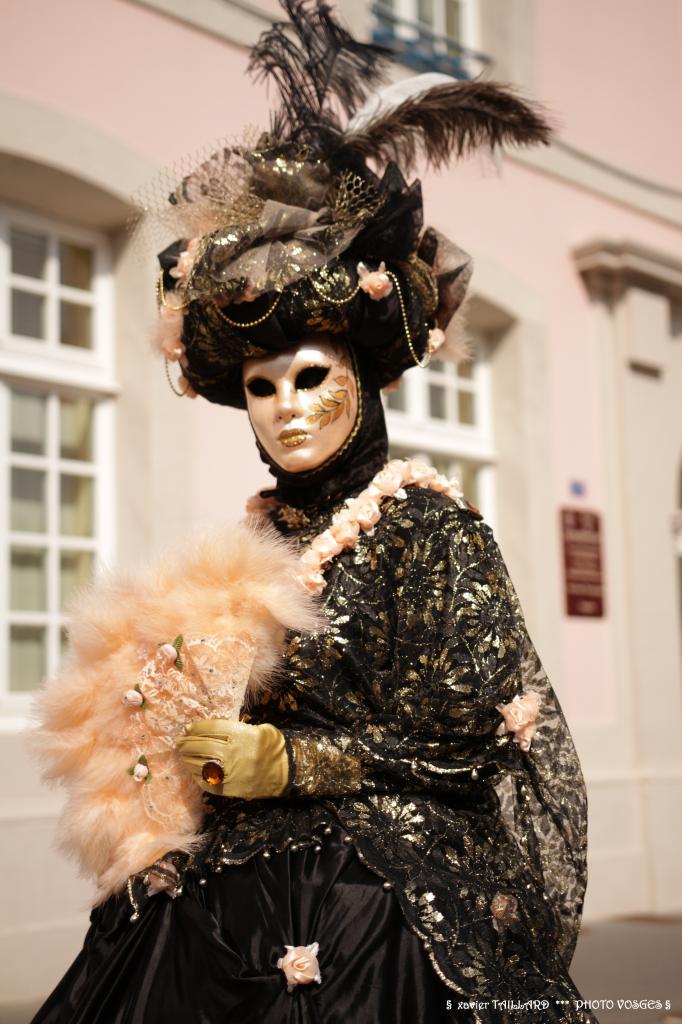 Carnaval Vénitien 2014