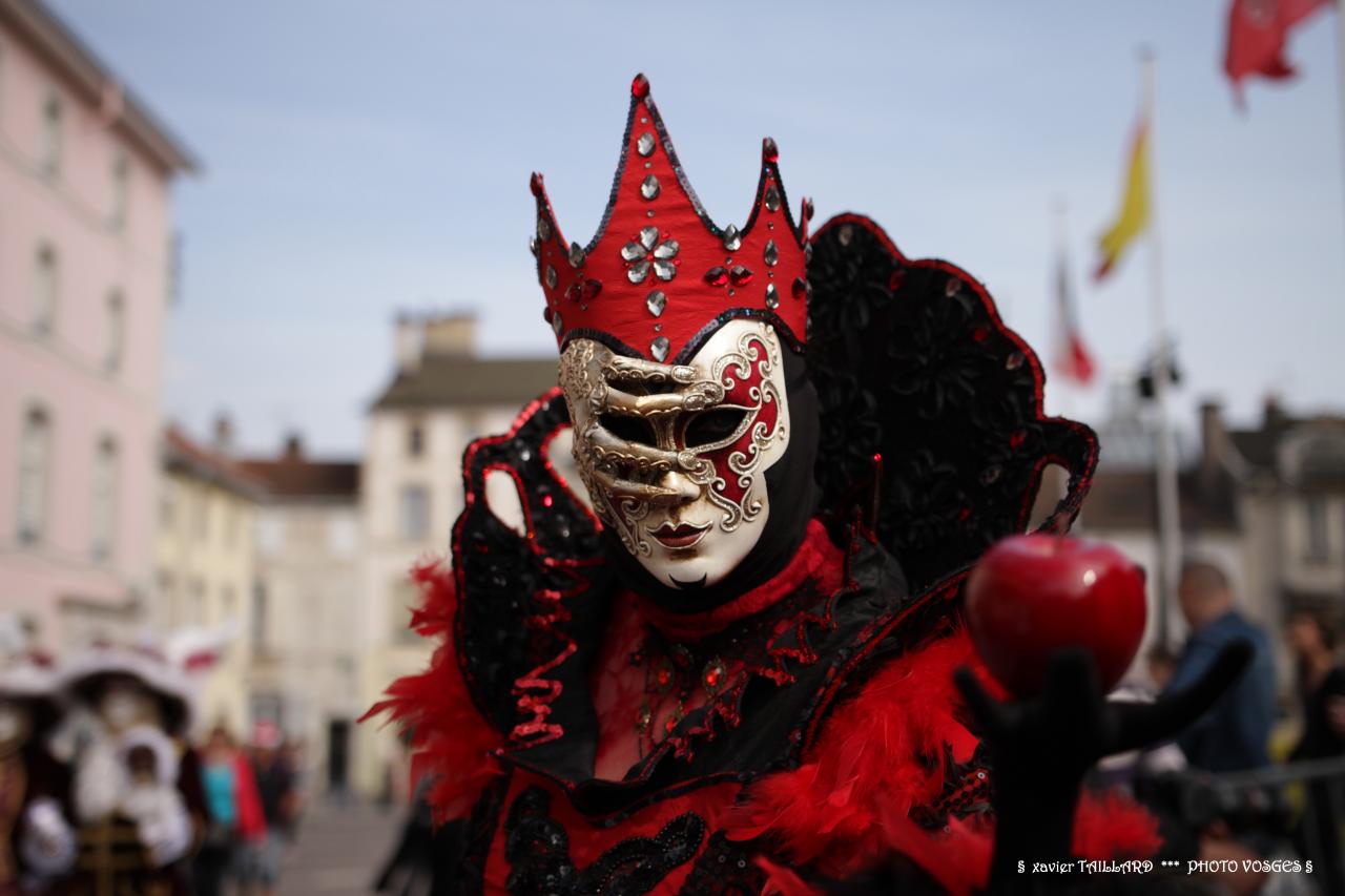 Carnaval Vénitien 2014